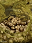 Premium Wholesale Seafood for Sale – Global Delivery